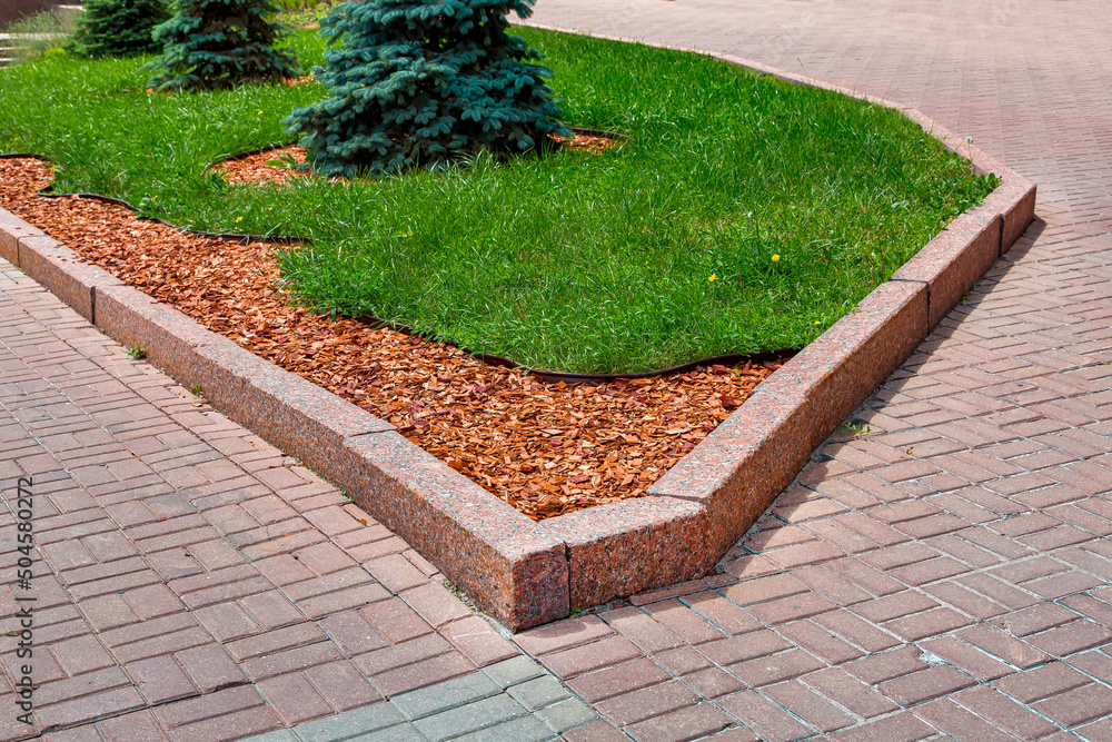 pine mulch on the garden bed on park. City scape landscape design with