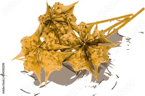 Abstract brown seeds of Tribulus terrestris plant on color spread background.