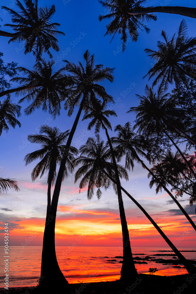 Ocean view with palm tree silhouettes and colorful sunset sky