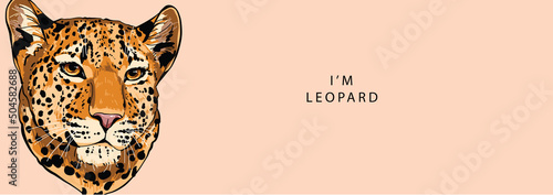 The head of a leopard looks seriously to the side on a beige background 