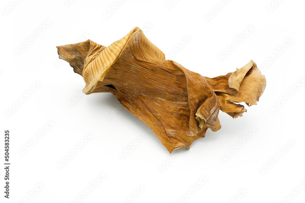 Dry Banana Leaf On White Background. Dry Banana Leaf On White Background.