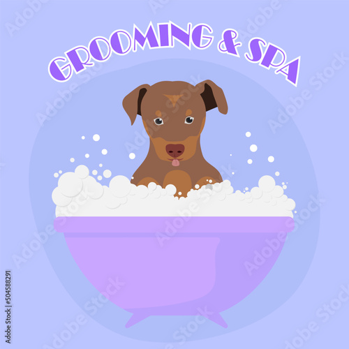 Dog in bath. Dog grooming. Design for grooming salon and spa. Flat vector illustration. photo