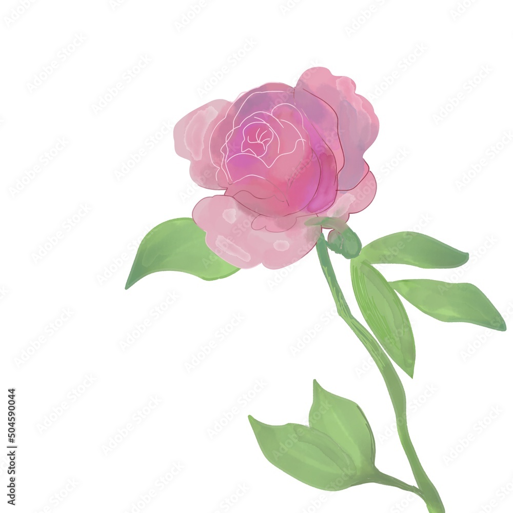 Elegant rose flower, beautiful clipart, hand drawn sketch 