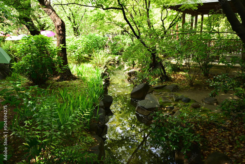 Obraz premium 縮景園