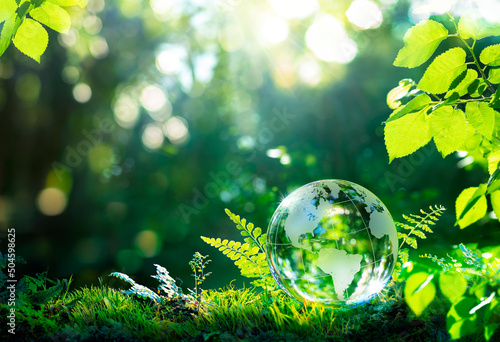 Environment. Glass Globe On Grass Moss In Forest - Green Planet With Abstract Defocused Bokeh Lights - Environmental Conservation Concept photo