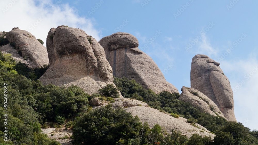 landscape in the mountains