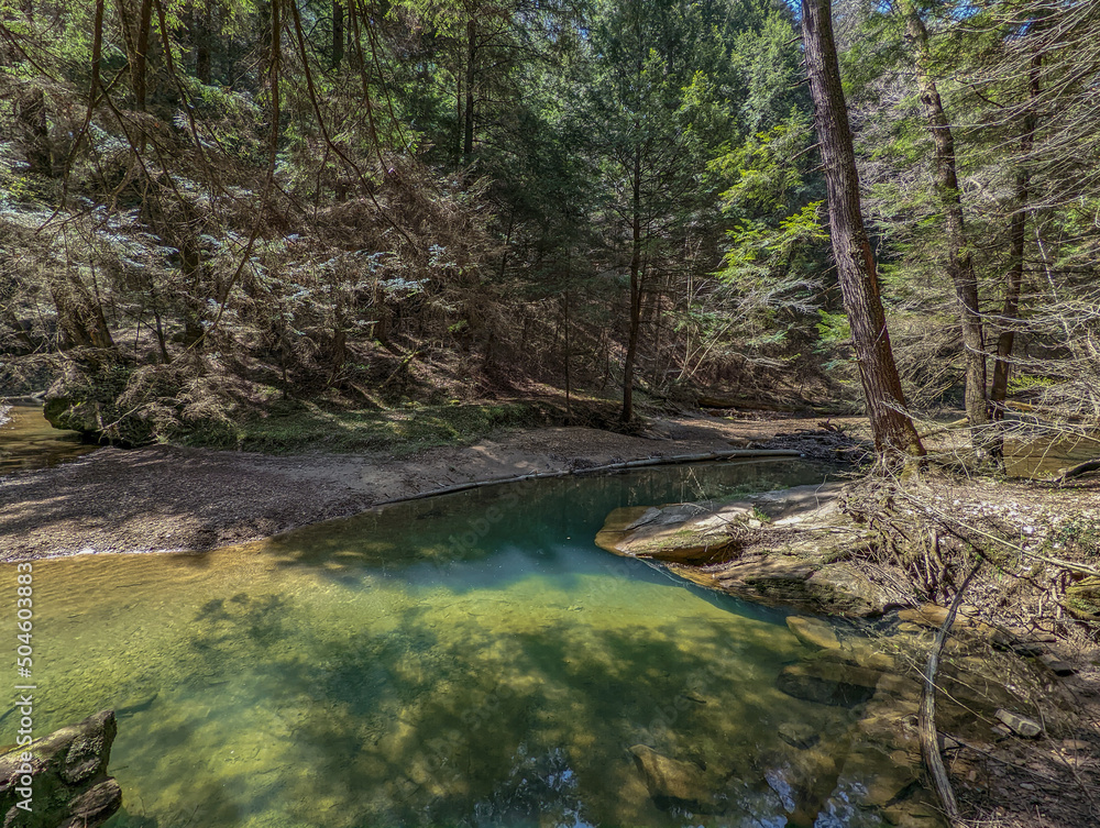 Obraz premium Iridescent Pool Surrounded by Pine Trees