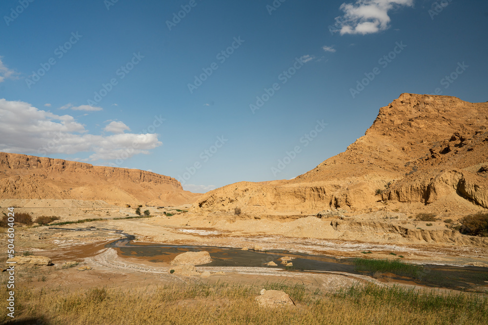 Fototapeta premium views of Selja Gorges -western Tunisia -Gafsa governorate - Tunisia