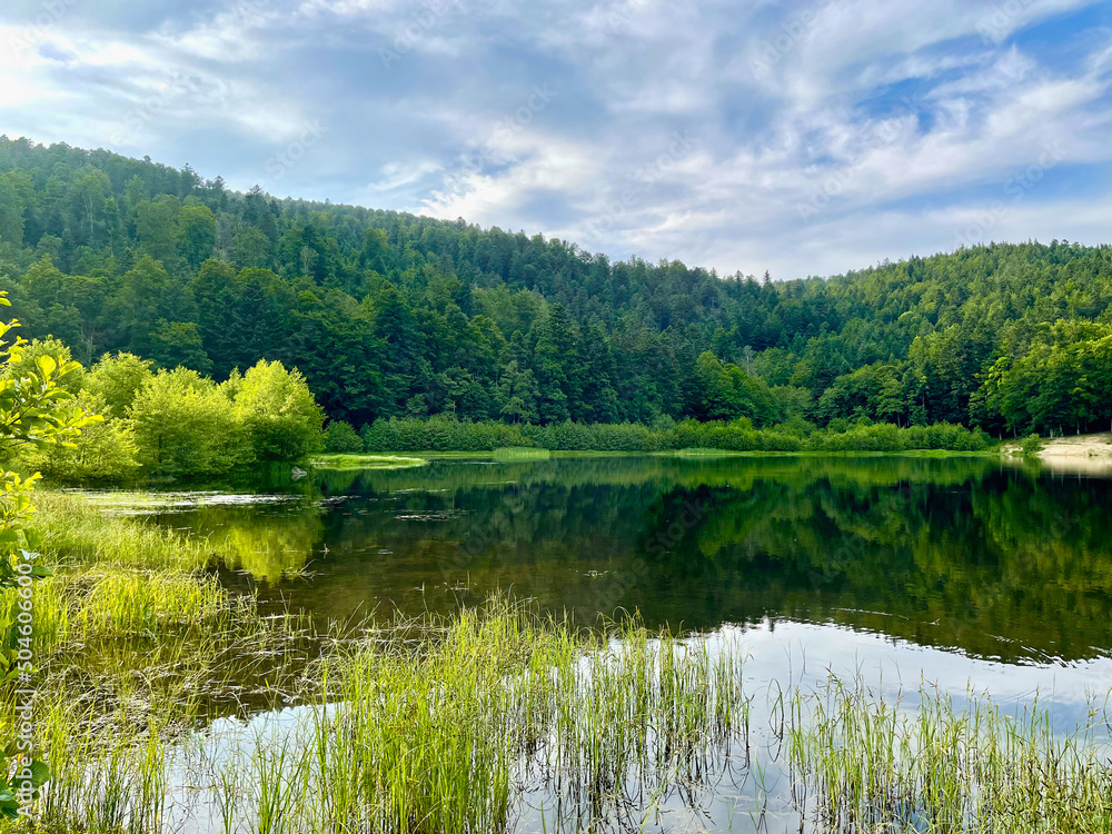 Mountains and green forest reflecting in the water of Lac de la Lauch on a sunny summer day