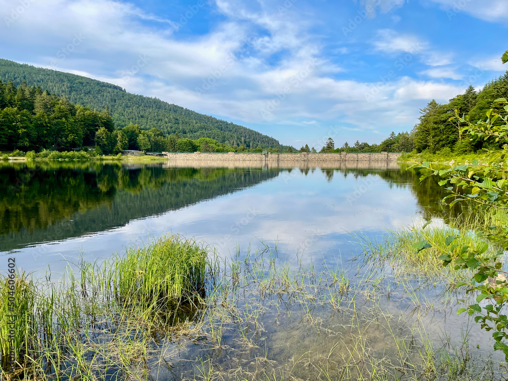 Mountains, dam and green forest reflecting in the water of Lac de la Lauch on a sunny summer day Mountains, dam and green forest reflecting in the water of Lac de la Lauch on a sunny summer day