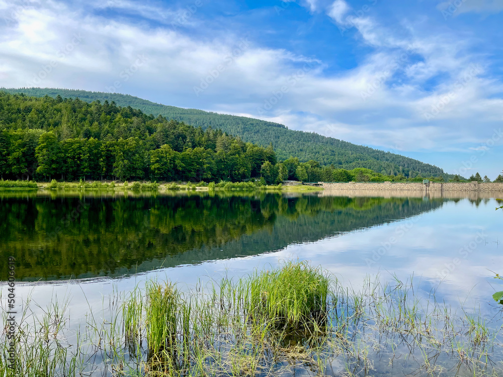 Mountains, dam and green forest reflecting in the water of Lac de la Lauch on a sunny summer day