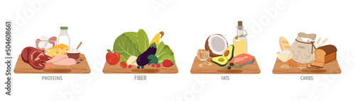 Set of macronutrients categories. Fiber, cellulose, proteins, fats and carbs or carbohydrates provided by foods. Health care concept. Flat vector illustration of food categories isolated on white.