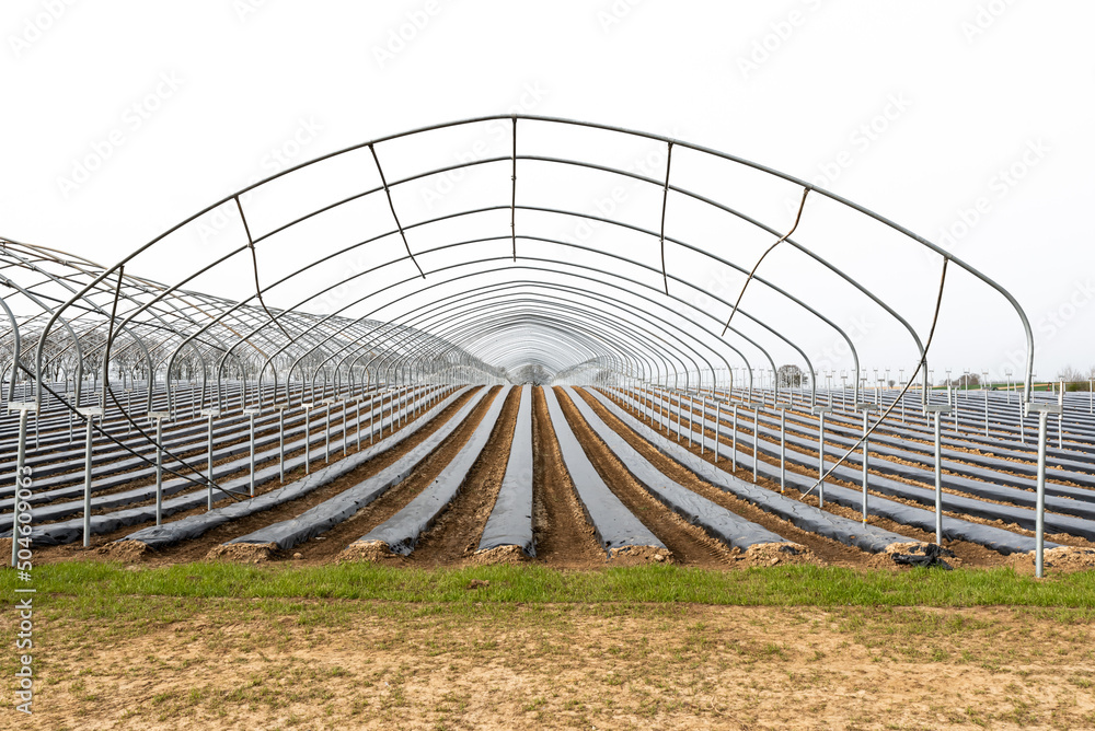 Frame of a greenhouse and fields with growing vegetables at the Flemish countryside around Tongeren