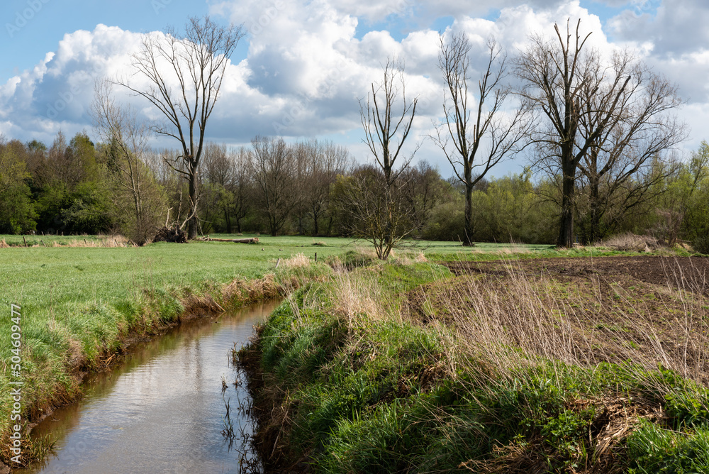 Bare winter trees, green natural meadows and a creek at the Dutch countryside around Thorn, The Netherlands Bare winter trees, green natural meadows and a creek at the Dutch countryside around Thorn, The Netherlands