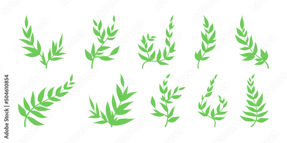 Set green branches with leaves spring decorative element, plant silhouettes. Natural decorative illustrations for summertime or springtime collage, design or decor. Foliage decoration for invitations.