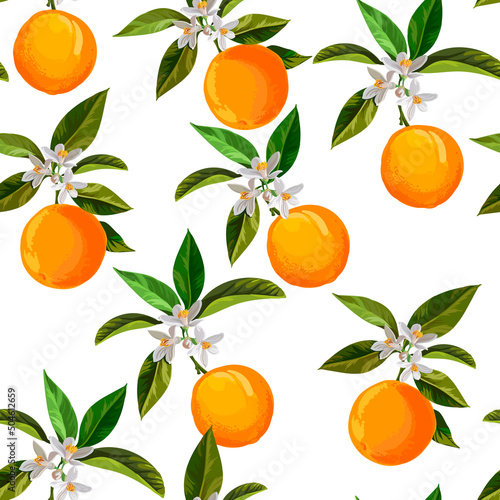 Orange citrus vector pattern. Botanical vector illustration. Summer background. Floral design. Wallpaper print.