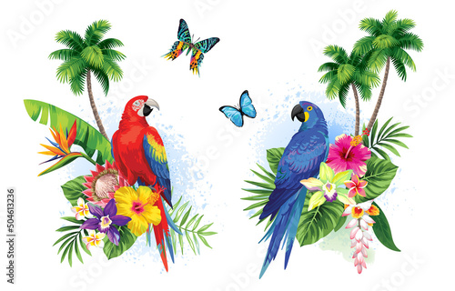 Tropical summer arrangements with palm leaves, birds and exotic flowers. Vector illustration isolated on a white background.