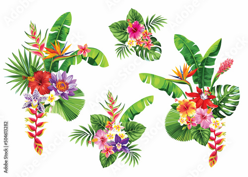 Tropical summer arrangements with palm leaves and exotic flowers. Vector illustration isolated on a white background.