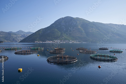 Seascape with fish farms against mountain in Montenegro