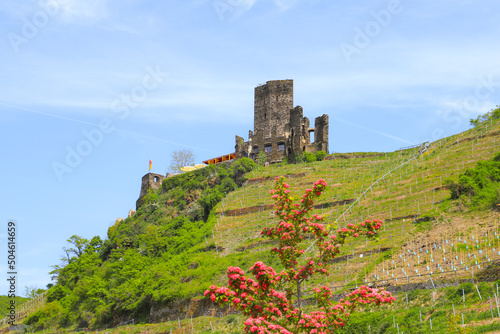 Metternich castle ruins in Beilstein on the Moselle in spring, Germany photo