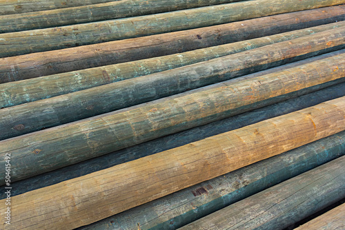 weathered tree trunks and boles log, stacked, background photo