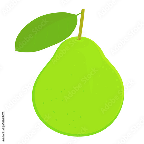 One whole guava fruit with green leaf isolated on white background. Vector illustration of fruit concept