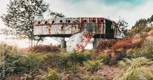 Isolated rusty dilapidated plane lost in the middle of the jungle, surrounded by ferns