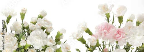 Beige flower bouquet on white horizontal long copy space background.