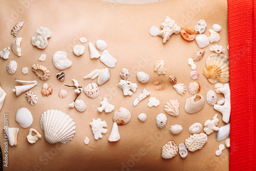 Different kinds of seashells, corals on woman body macro detail structure © lightscience