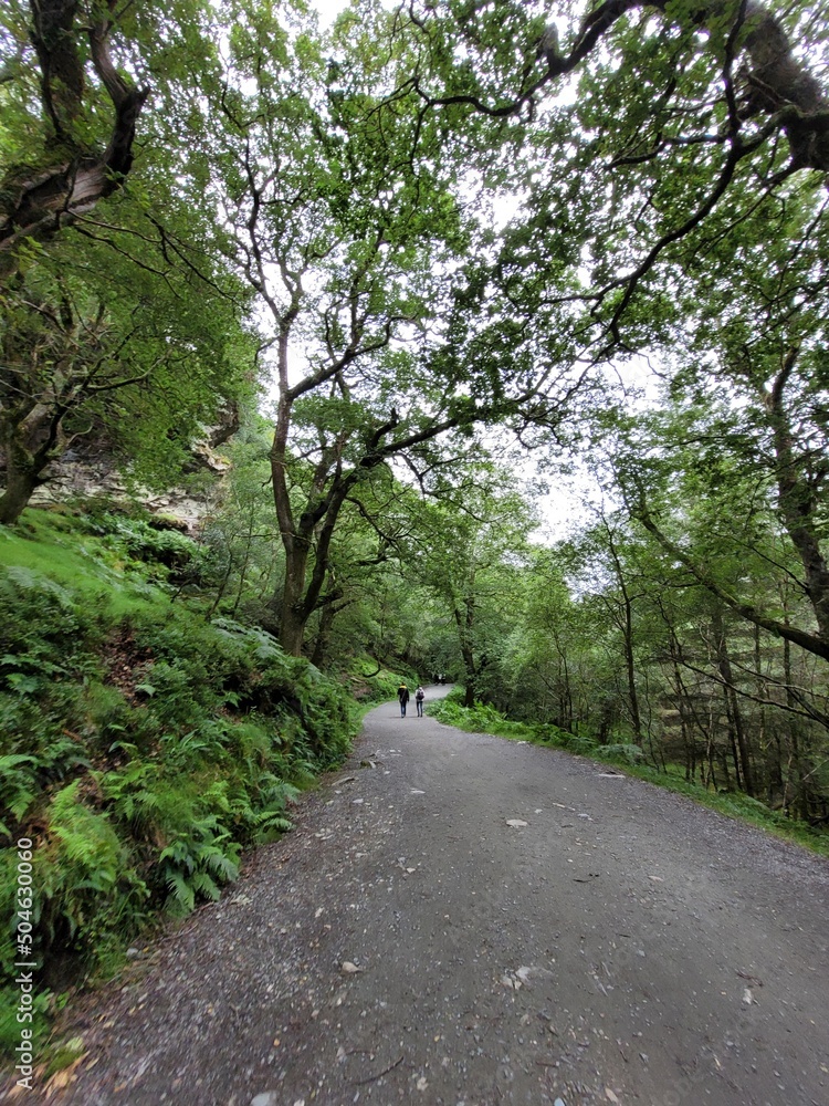 Fototapeta premium Long footpath in the montain