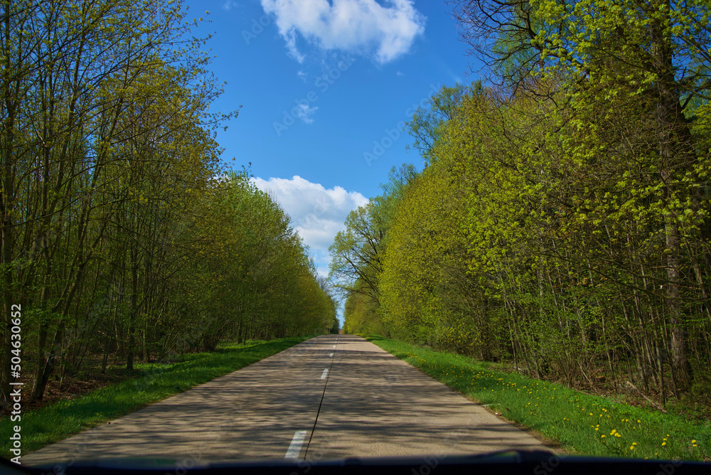 road in the park