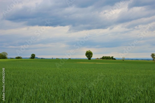 cultures en campagne 