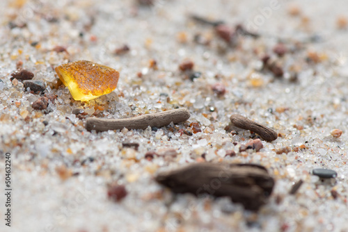 Beautiful piece of shining amber among the grains of sand and little pieces of wood on a sandy beach or shore, amber background, close up