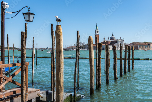 Gondolas around Venice © LugonesLeandro