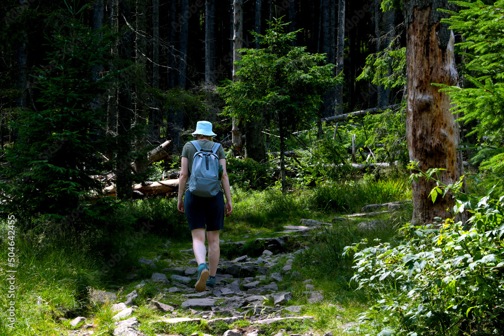 Obraz premium A girl climbs a mountain in the forest. Active lifestyle.