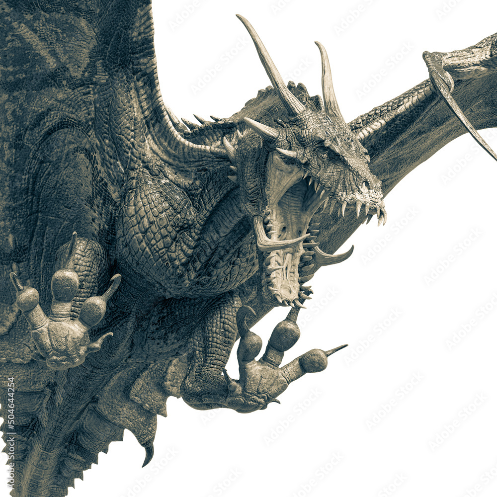 Fototapeta premium master dragon is attacking close up view