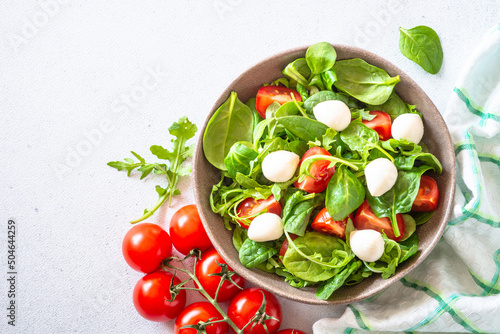 Green salad with fresh leaves, tomatoes and mozzarella. Top view, copy space.