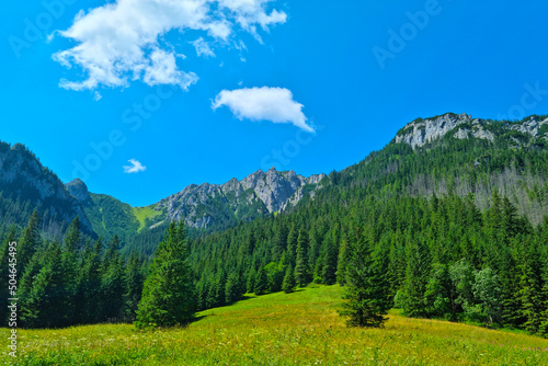Beautiful scenic view of the green mountains on a sunny day. © Dzmitry
