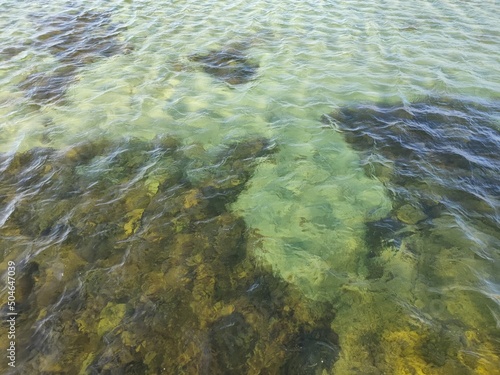 Grünliches Ostseewasser photo