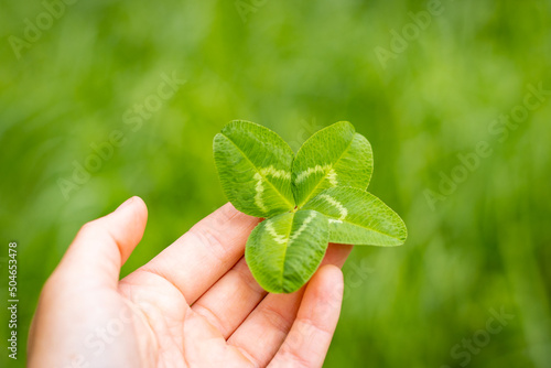 Holding four leave clover, good luck symbol, green background. © Ayla Harbich