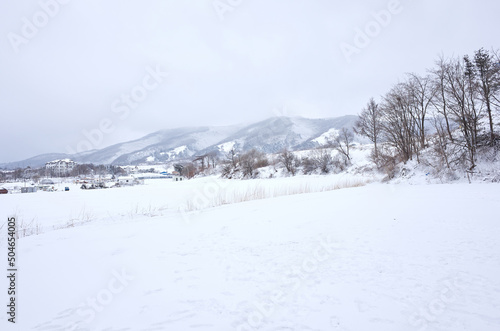 Beautiful snow scene in Gangwon-do, South Korea.  © photo_HYANG
