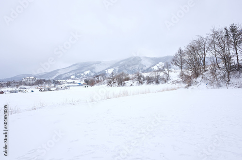 Beautiful snow scene in Gangwon-do, South Korea. 