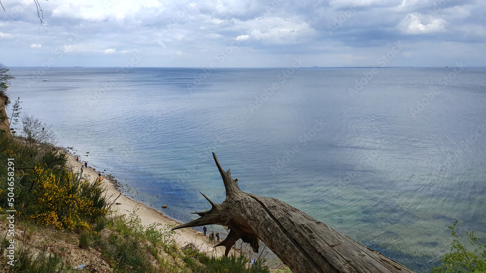 Nadmorska natura z widokiem na klif i morze