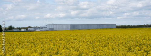 Storage building for the for the Royal Danish Library and National Museum in a yellow rapeseed field at Vinge photo