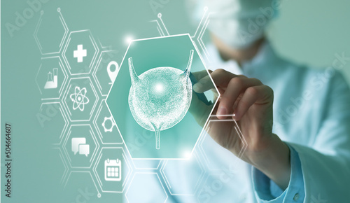 Photos Unrecognizable female doctor holding graphic virtual visualization model of Bladder organ in hands