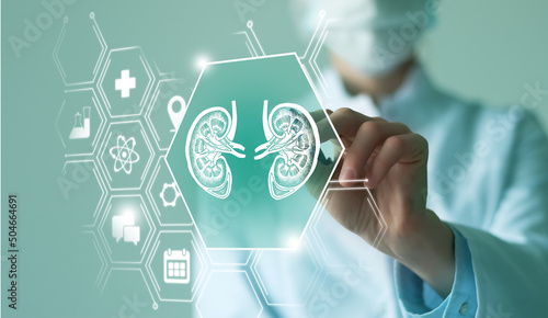 Unrecognizable female doctor holding graphic virtual visualization model of Kidneys organ in hands. Multiple virtual medical icons.