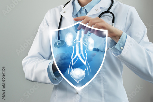 Unrecognizable female doctor holding shield and graphic virtual visualization of Bladder and Kidneys organ in hands. photo
