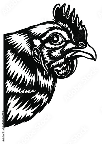 Chicken, Farm life, Chicken peeking, Peeking, hen, Chicken head, beak, farm