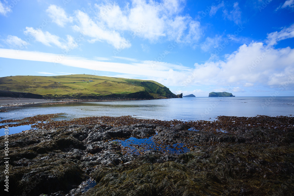 Vestmannaeyjar island beach day view, Iceland landscape. Alsey island