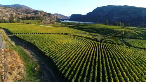 View of Blue Mountain Vineyard with McIntyre Bluff and Vaseux Lake in the background located in the Okanagan Valley in Okanagan Falls, British Columbia, Canada. photo